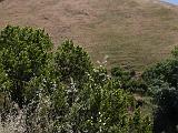 Sunol 018  Eagles View Trail